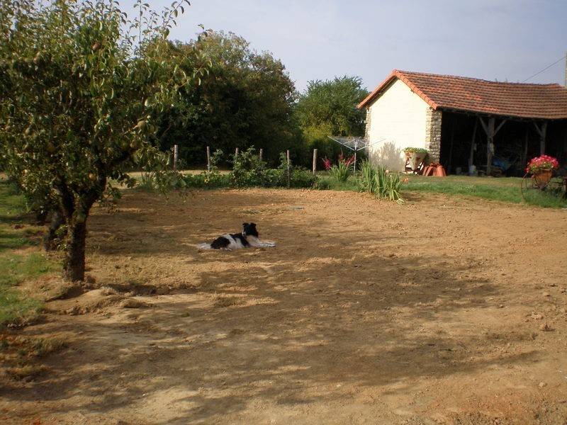terrain